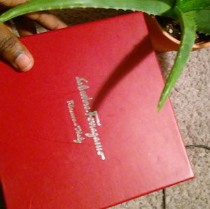 Salvatore Ferragamo Brown Belt